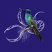 hummingbird-2014198_960_720