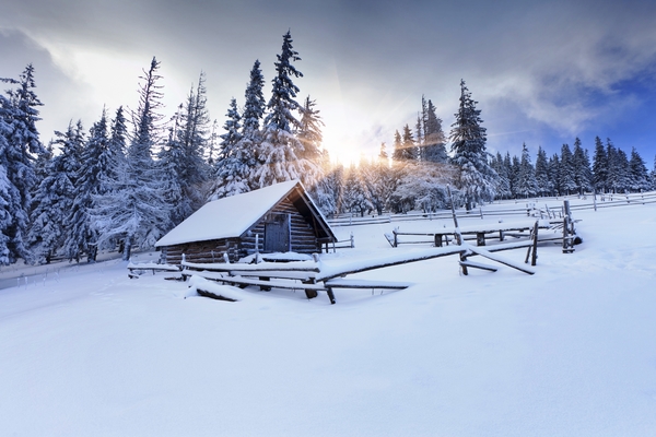 winter-forest-5040x3360-5k-4k-wallpaper-8k-mountain-sun-snow-fir-