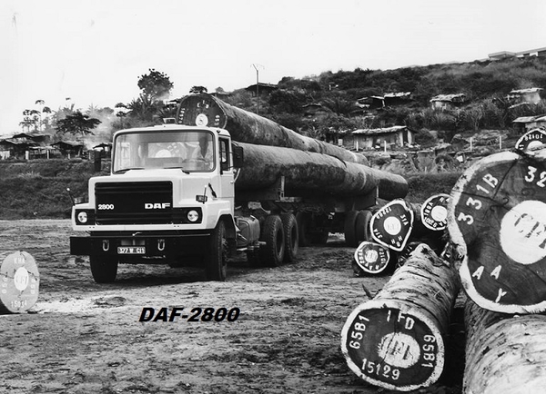 DAF-2800