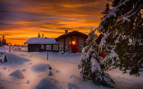 Winter-snow-cold-night-house-lights-trees_1440x900