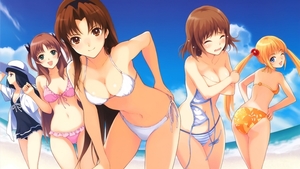 anime-anime-girls-cartoon-bikini-swimwear-clothing-Baby-Princess-