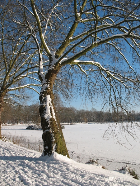 Provinciedomein in de sneeuw 015