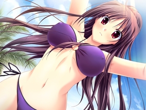 bikini_swimsuits_anime_girls_desktop_1600x1200_hd-wallpaper-10523