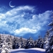 fur-trees_trees_clouds_snow_moon_sky_snowdrifts_6398_3840x2160
