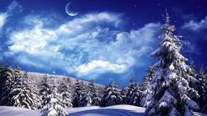 fur-trees_trees_clouds_snow_moon_sky_snowdrifts_6398_3840x2160