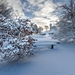 priroda-zima-skamya-sneg-1013515