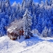 winter-thick-snow-trees-house-footpath-1080P-wallpaper