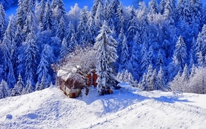winter-thick-snow-trees-house-footpath-1080P-wallpaper