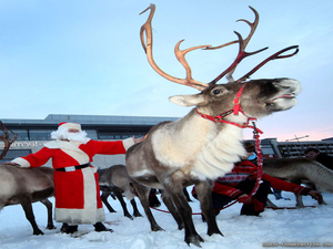 christmas-reindeer-wallpapers-2-1024x768