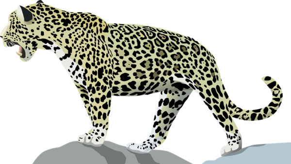 jaguar-42010_960_720