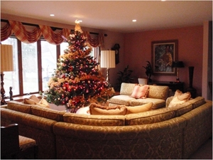 dining-room-christmas-decorations-fabric-cushion-black-frame-squa