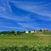 farmland-3303051_960_720