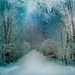 737e573d344281769b9567f5479e2a77--snow-scenes-winter-scenes