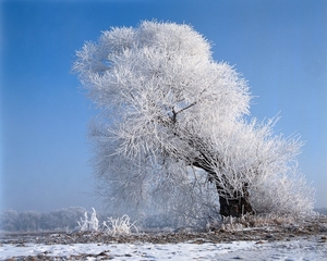 amazing_beaituful_winter_scenery_in_china_0970a