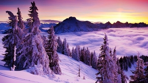 beautiful-winter-landscape-3