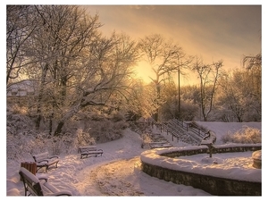 winter-tree-photography-8