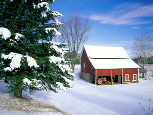winter-wallpaper-background-wallpapers-cabin-windows-vista