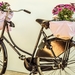 bicycle-2157893_960_720
