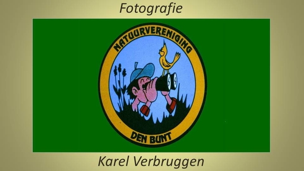 Logo Karel Verbruggen