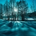fantastic-winter-scenery-1