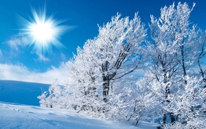 Winter_Sunny_winter_landscape_042484_