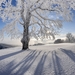 snowy-tree,-snowy-landscape-218004