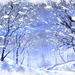 Winter-park-romantic-frozen-wallpaper-christmas-gallery-random