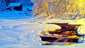 winter_blue_and_yellow-wallpaper-1366x768