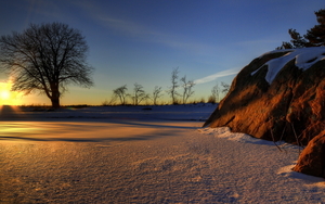 winter-landscapes-fresh-trees-sunset-sunrise-skysparkle-snow-natu
