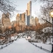Central Park - Winter Wonderlands in New York City, NY, USA