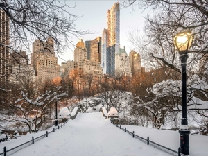 Central Park - Winter Wonderlands in New York City, NY, USA