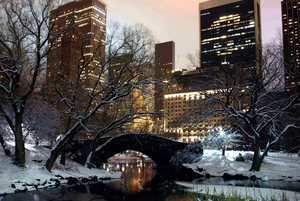 central-park-in-winter