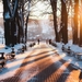 Russia-Kaluga-winter-park-snow-bench-trees-sunrise_1680x1050
