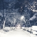 urban_winter-wallpaper-1440x900