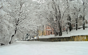 winter-snow-zima-sneg-1