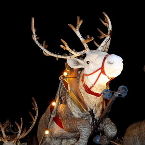 Kerstparade-Roeselare-26-12-2018