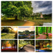 Colorful-Spring-park-COLLAGE