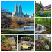 flowers-garden-park-Samsung-France-Europe-cottage-hydrangea-estat