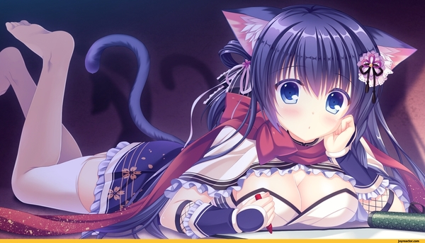 ecchi-anime-animal-ears-catgirl-3687044