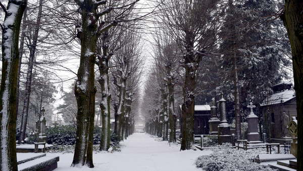 Roeselare-Sneeuw-22-01-2019