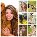 Dogs_Brown_haired_496343-COLLAGE