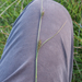 0277-Zilte-zegge-Carex-distans-humid-meadows