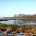 dwingelderveld10-vi