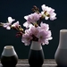 cherry-blossoms-4069596_960_720