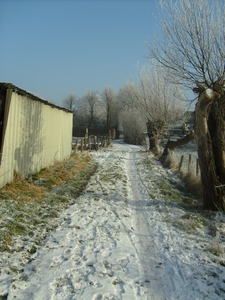 Kopie van winter  jan 2009 008
