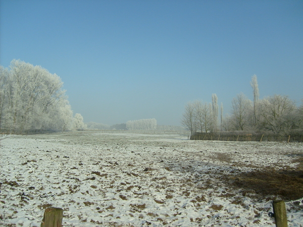 winter  jan 2009 003