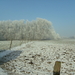 winter  jan 2009 004