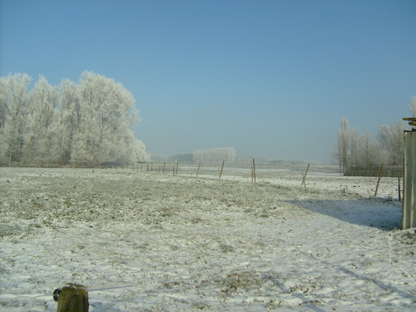 winter  jan 2009 006