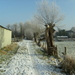 winter  jan 2009 007