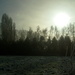 winter  jan 2009 009